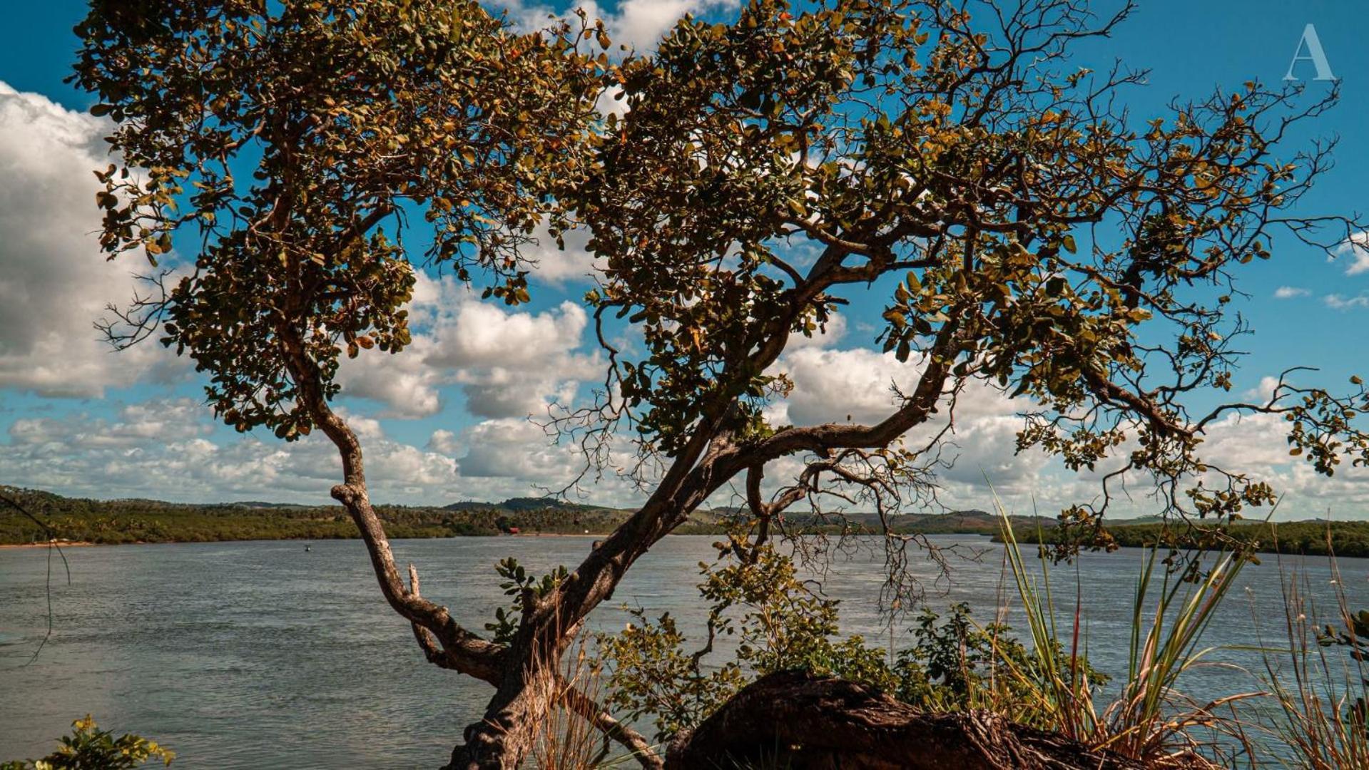فندق Pousada Recanto Sol Nascente, Luxo E Proximidade Com A Natureza Rio Formoso المظهر الخارجي الصورة
