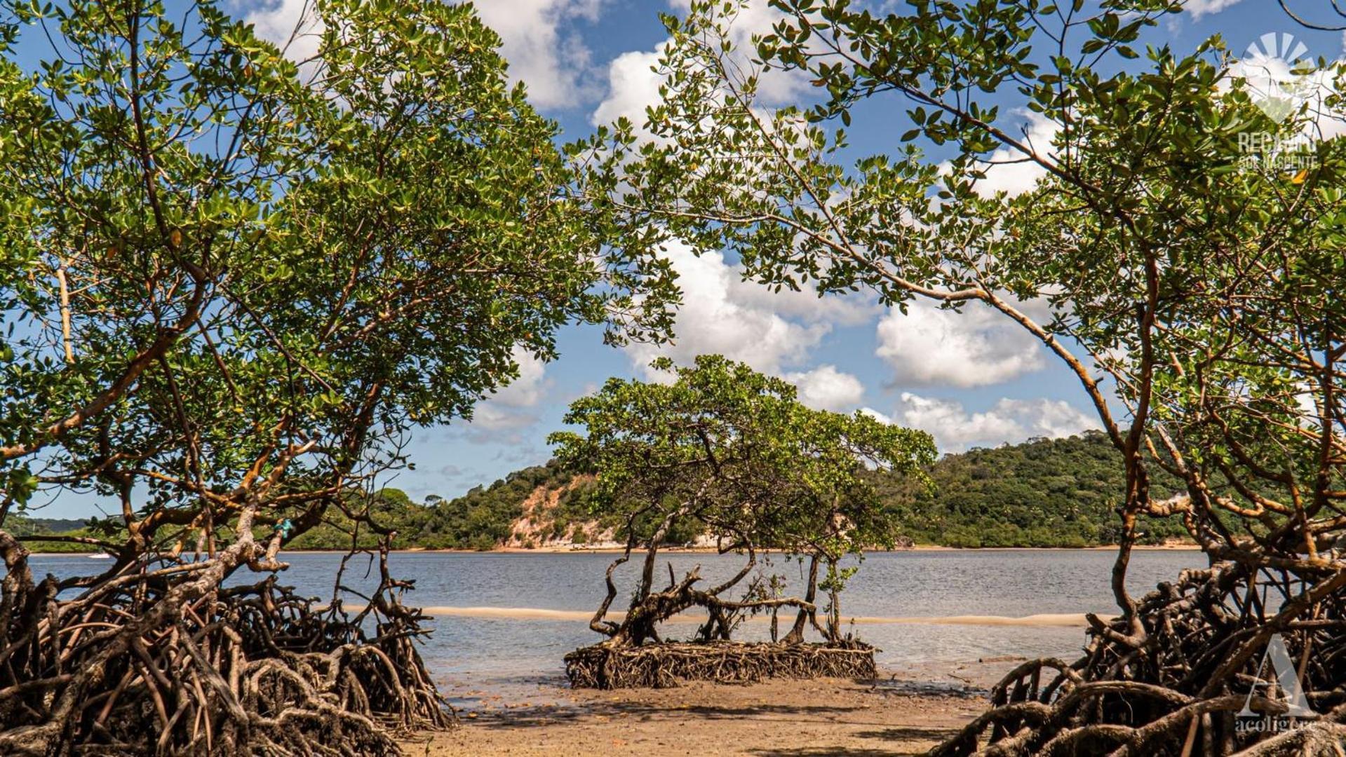 فندق Pousada Recanto Sol Nascente, Luxo E Proximidade Com A Natureza Rio Formoso المظهر الخارجي الصورة