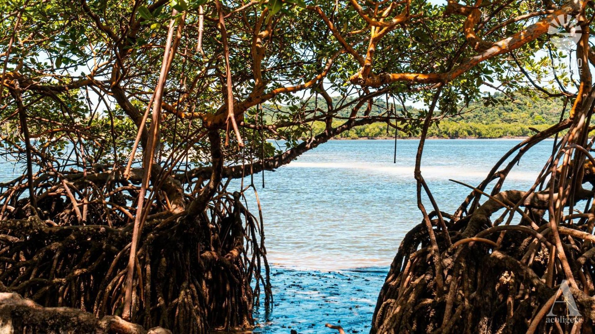 فندق Pousada Recanto Sol Nascente, Luxo E Proximidade Com A Natureza Rio Formoso المظهر الخارجي الصورة
