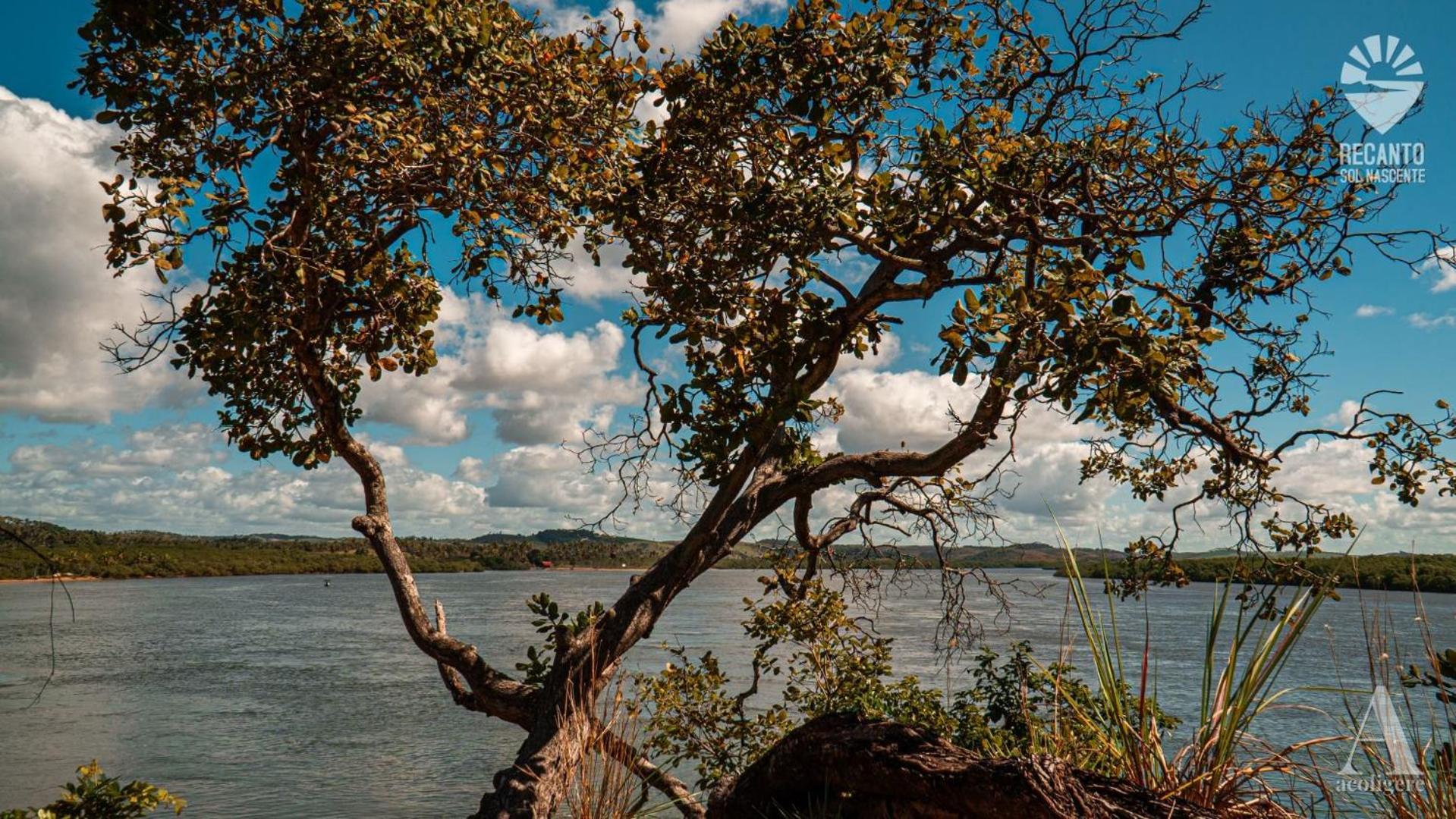 فندق Pousada Recanto Sol Nascente, Luxo E Proximidade Com A Natureza Rio Formoso المظهر الخارجي الصورة
